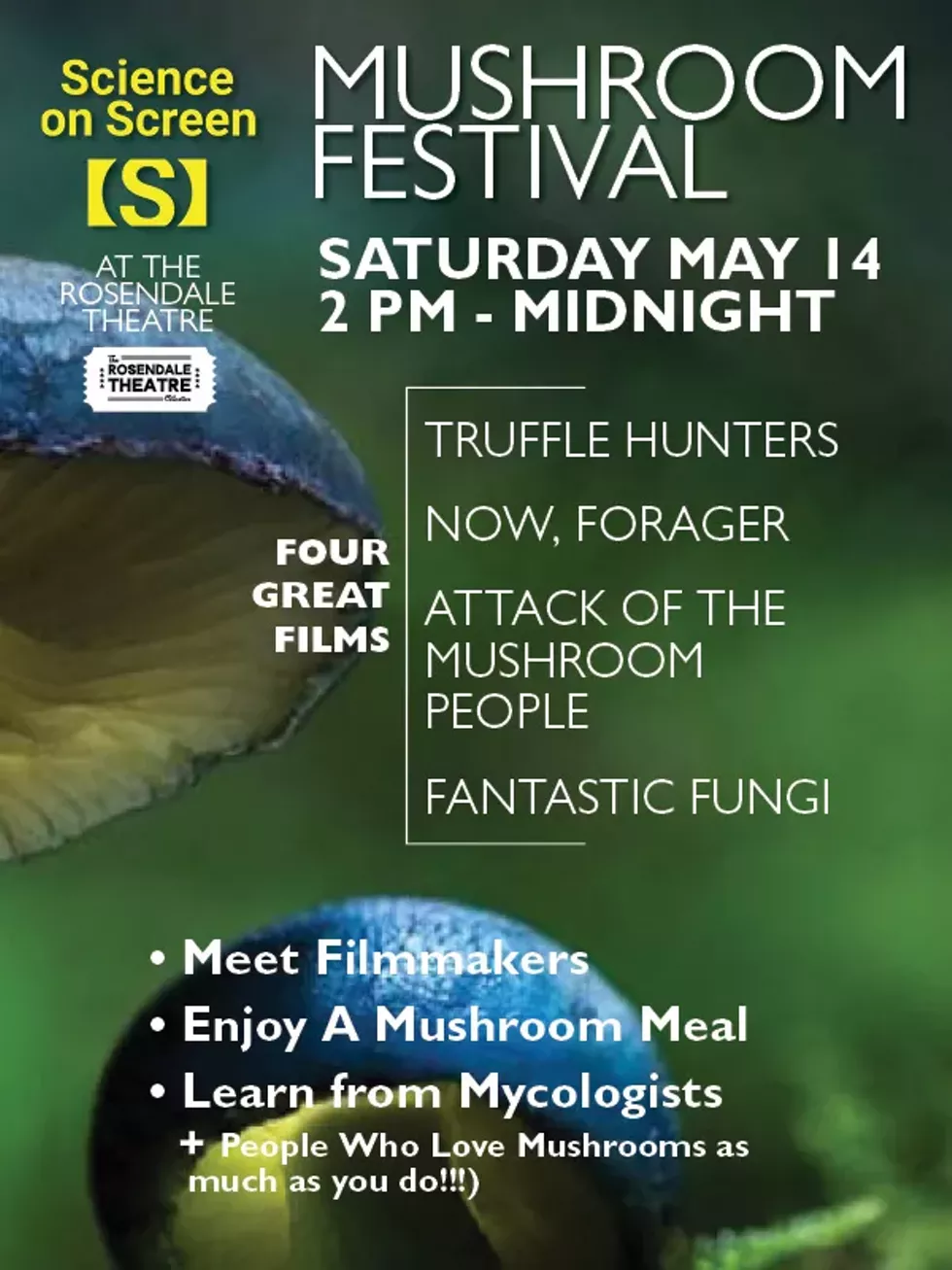 mushroom_festival.webp