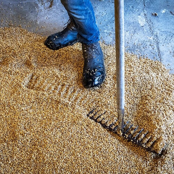The Soul of Beer: Subversive Malting &amp; Brewing Gets to the Heart of It with Floor-Malted Beers