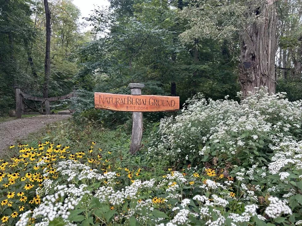 rhinebeck_natural_burial_groun.webp