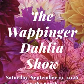 Image: The Wappinger Dahlia Show