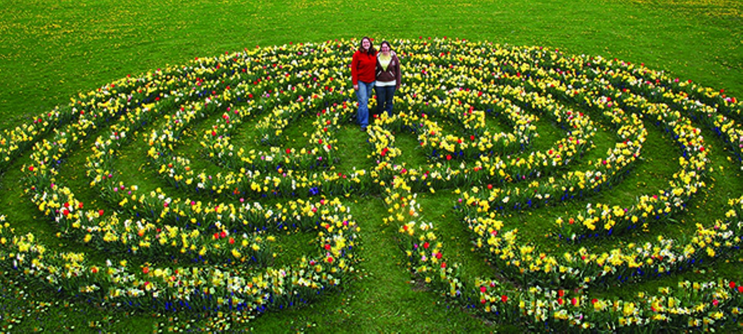 https://media1.chronogram.com/chronogram/imager/this-bulb-labyrinth-was-planted-by-cornell/u/slideshow/2268787/bulb_labyrinth_dept_horticulture.jpg