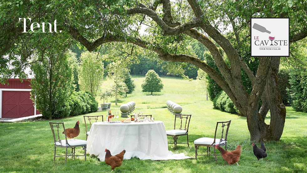 Designer & Tent Founder Darren Henault's garden in Millbrook.