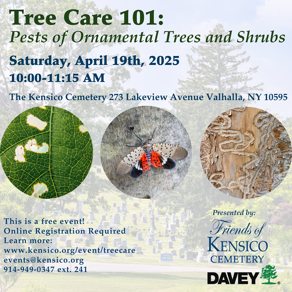 weevils_and_bagworms_and_tree_moths___oh_my__join_mike_cook__isa-certified_arborist_and_superintendent_of_grounds__for_an_e.png