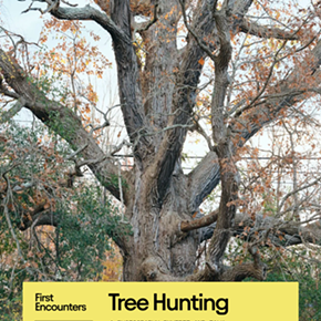 Image: Tree Hunting: Talk & Exhibition