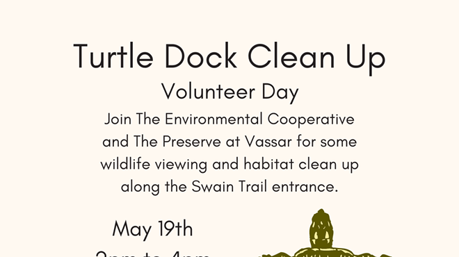 Image: Turtle Dock Clean Up