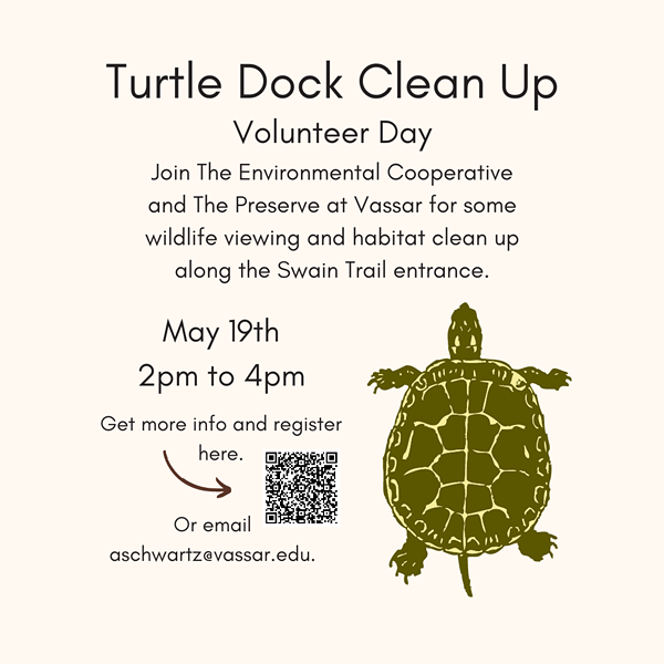 Turtle Dock Clean Up