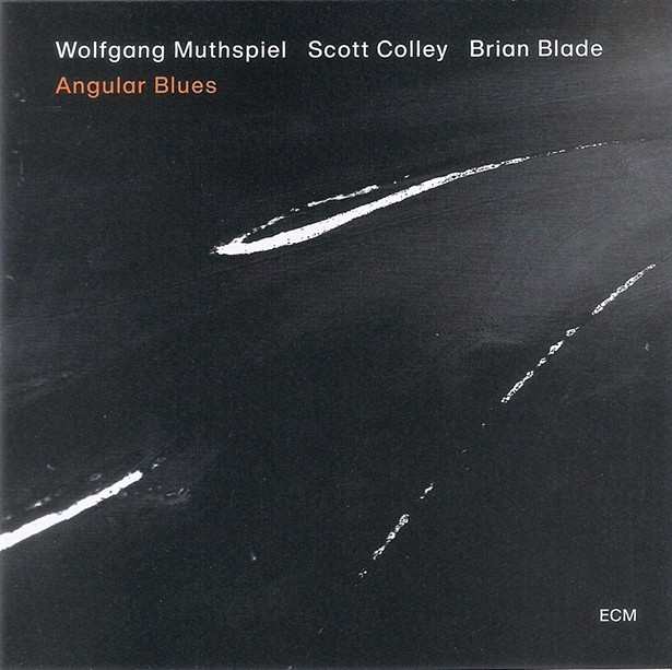 Album Review: Wolfgang Muthspiel/Scott Colley/Brian Blade | Angular Blues