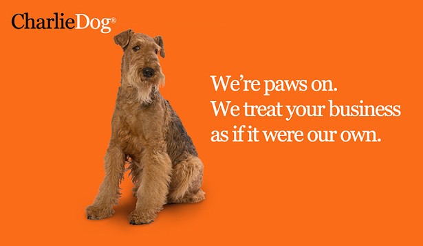 An Essential Part of the Pack: How Kingston's CharlieDog Advertising Lives Up to Its Name