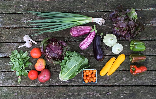 Farm Share Finder: Find Your Hudson Valley CSA for 2022