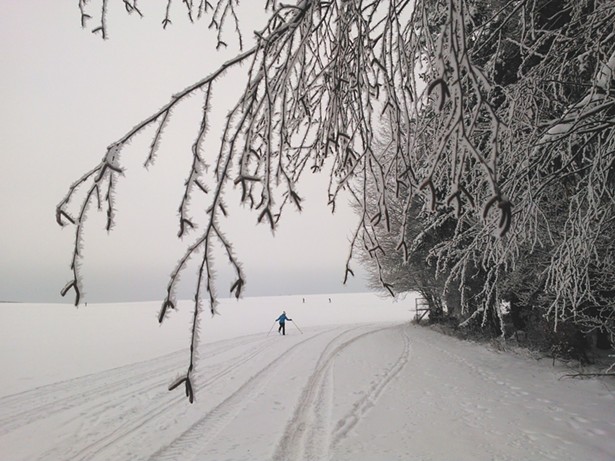 8 Cross-Country Skiing Spots in the Hudson Valley
