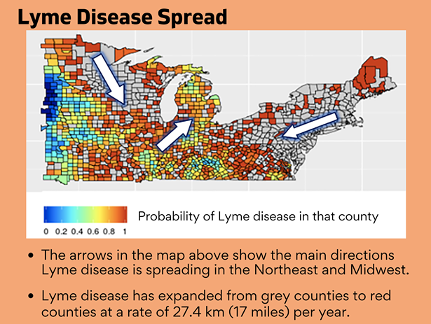 Lyme disease spread