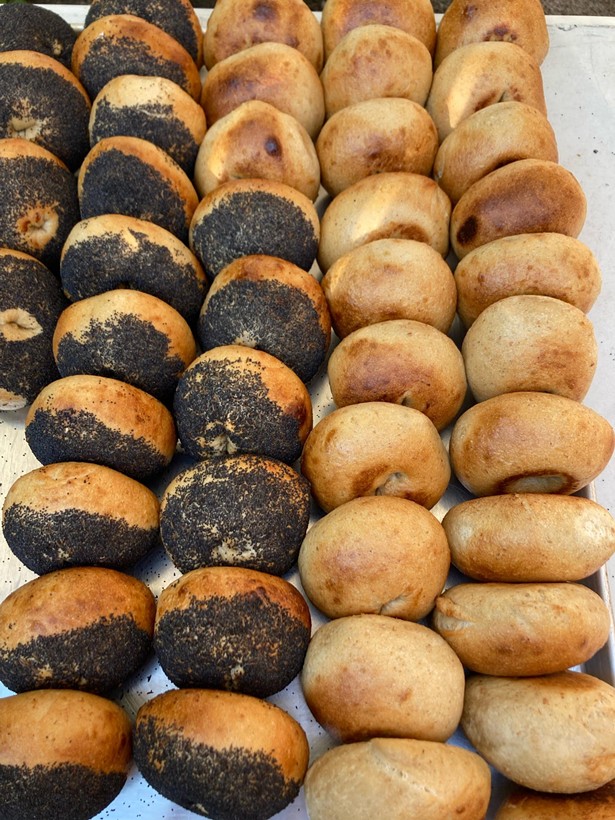 Circles: New York-Style Bagels with a Local Flare in Hudson