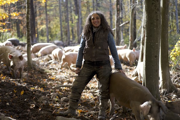 Amid Factory Farming, Hudson Valley Embraces Small-Scale Farming Solutions