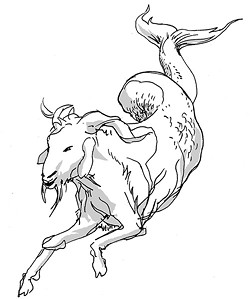 Capricorn for May 2016