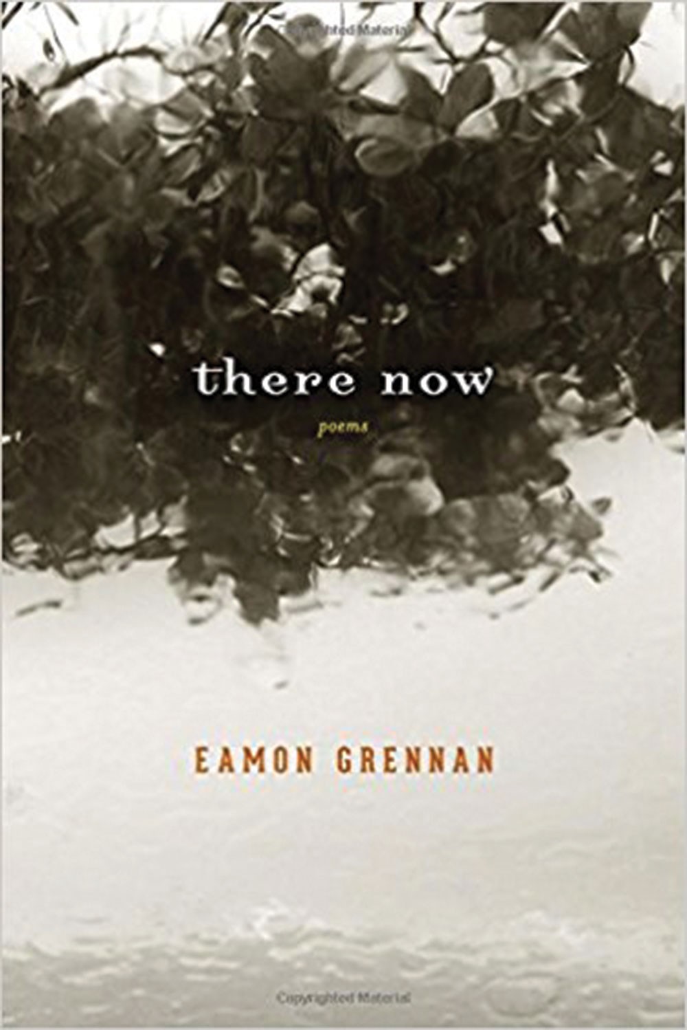 Book Review: There Now: Poems