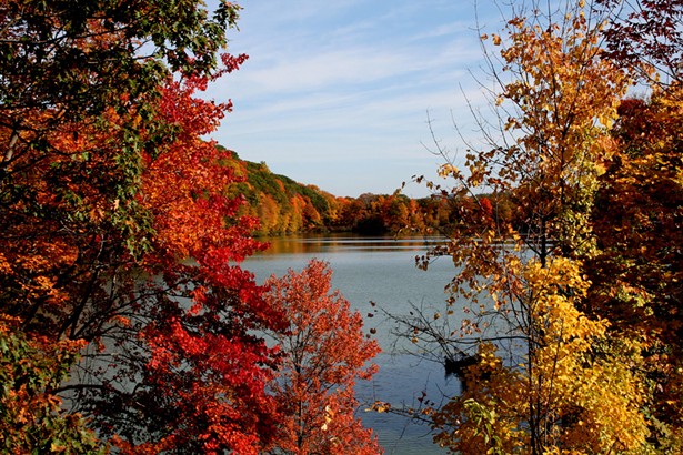 The Science of Leaf Color Change &amp; Where to Go to Enjoy the Hudson Valley Fall Foliage