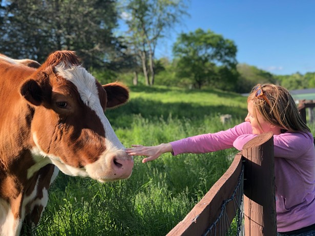 Kid-Friendly Places to Pet Animals in the Hudson Valley