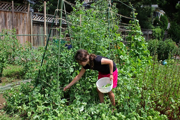Community Gardens Help Neighbors Grow Together (2)