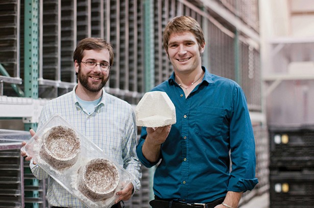 The Mycelium Revolution: Fungus-Powered, Eco-Friendly Design