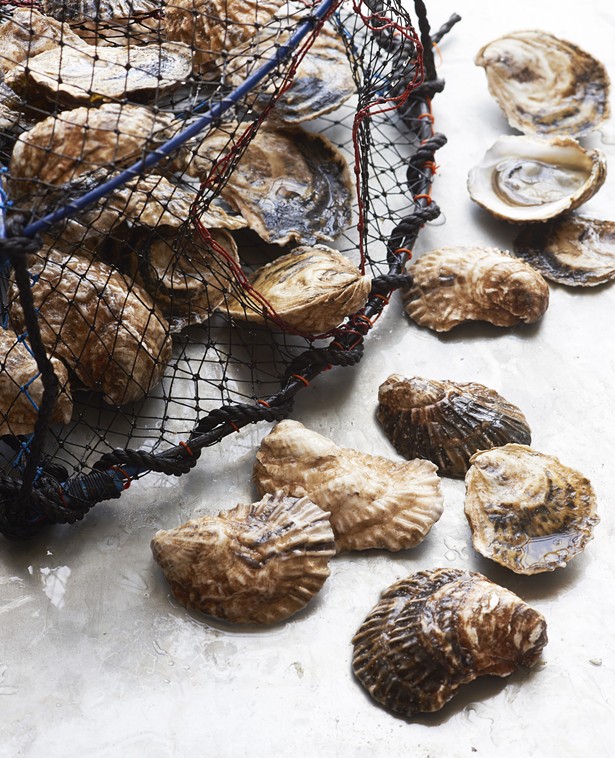 Sound-to-Table: Sustainably Grown Oysters Delivered to Your Doorstep