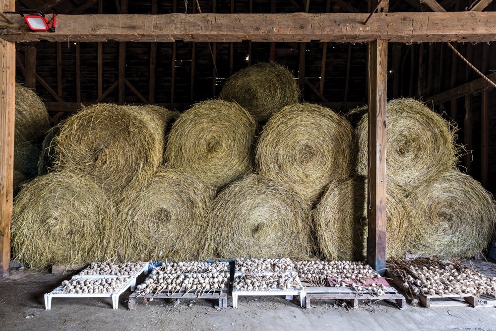 Straw and Hay  Wallingford Farm