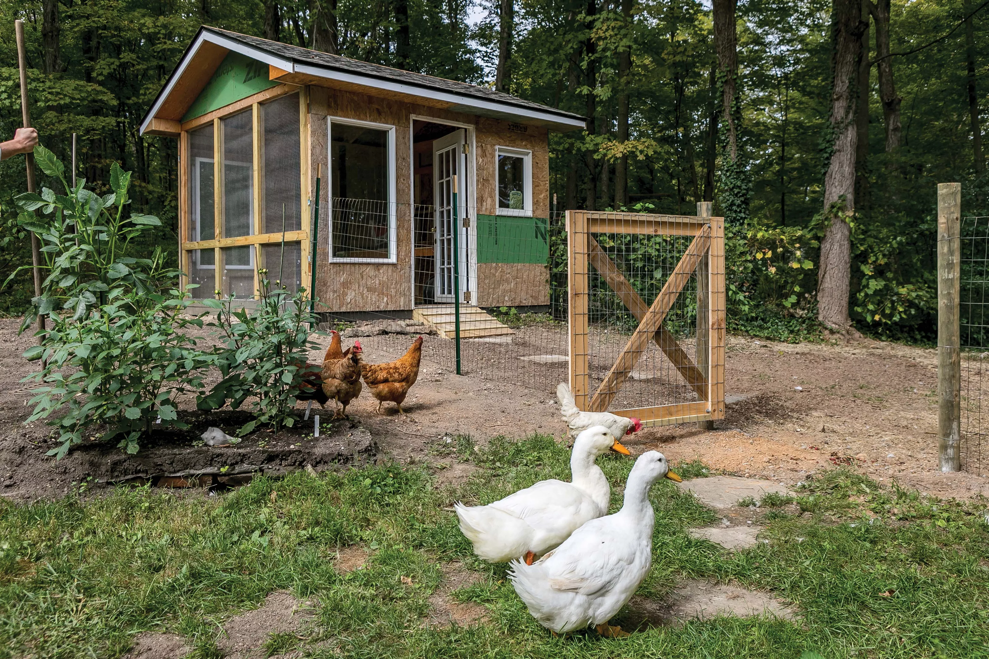 Just Add Nature: Creating a Tiny Farm in Pleasant Valley | House ...