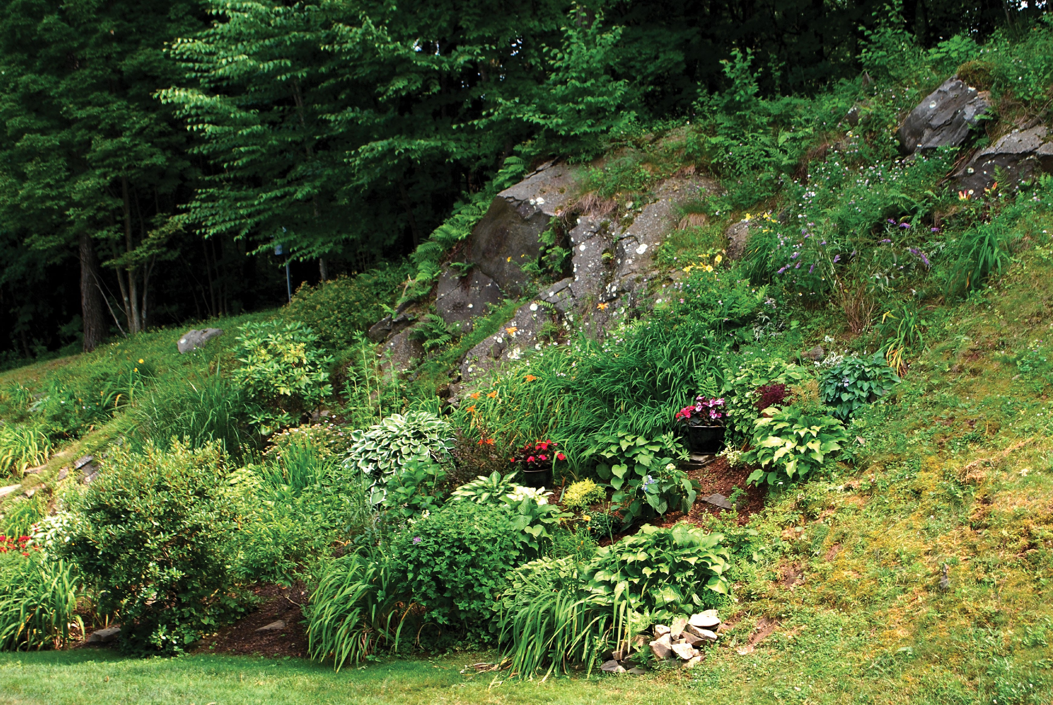 Lessons from The Hills: Gardening on Rocky and Steep Slopes, Gardening, Hudson Valley