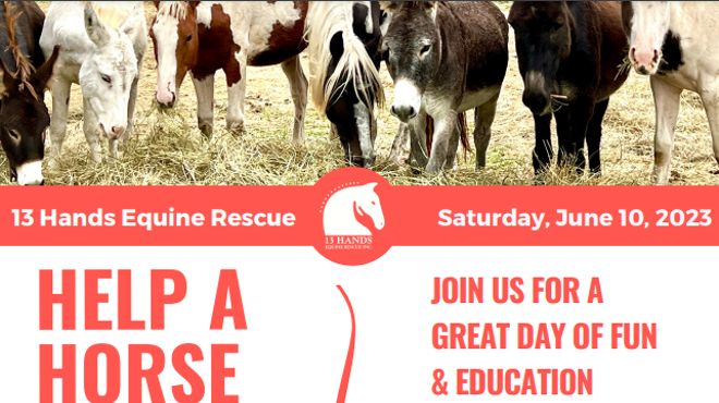 HELP A HORSE DAY, 13 Hands Equine Rescue, Saturday, June 10, 2023