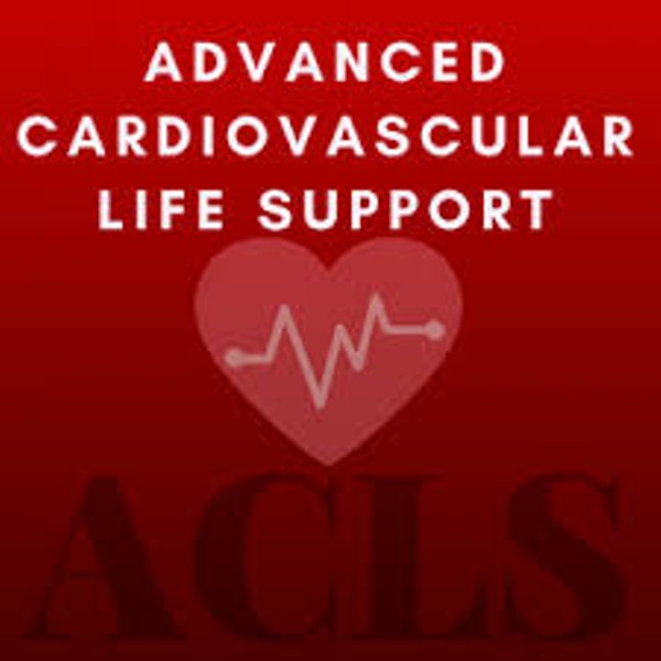 American Heart Association Advanced Cardiac Life Support (ACLS) Provider