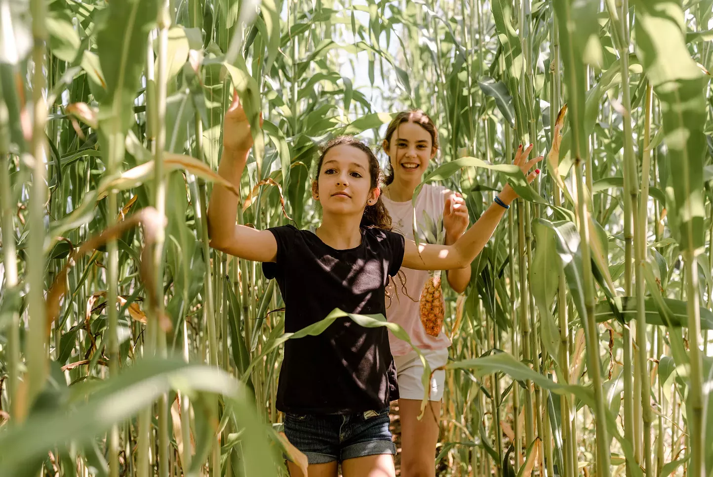 Summer Camp at Hawthorne Valley Farm - Vimarsana News