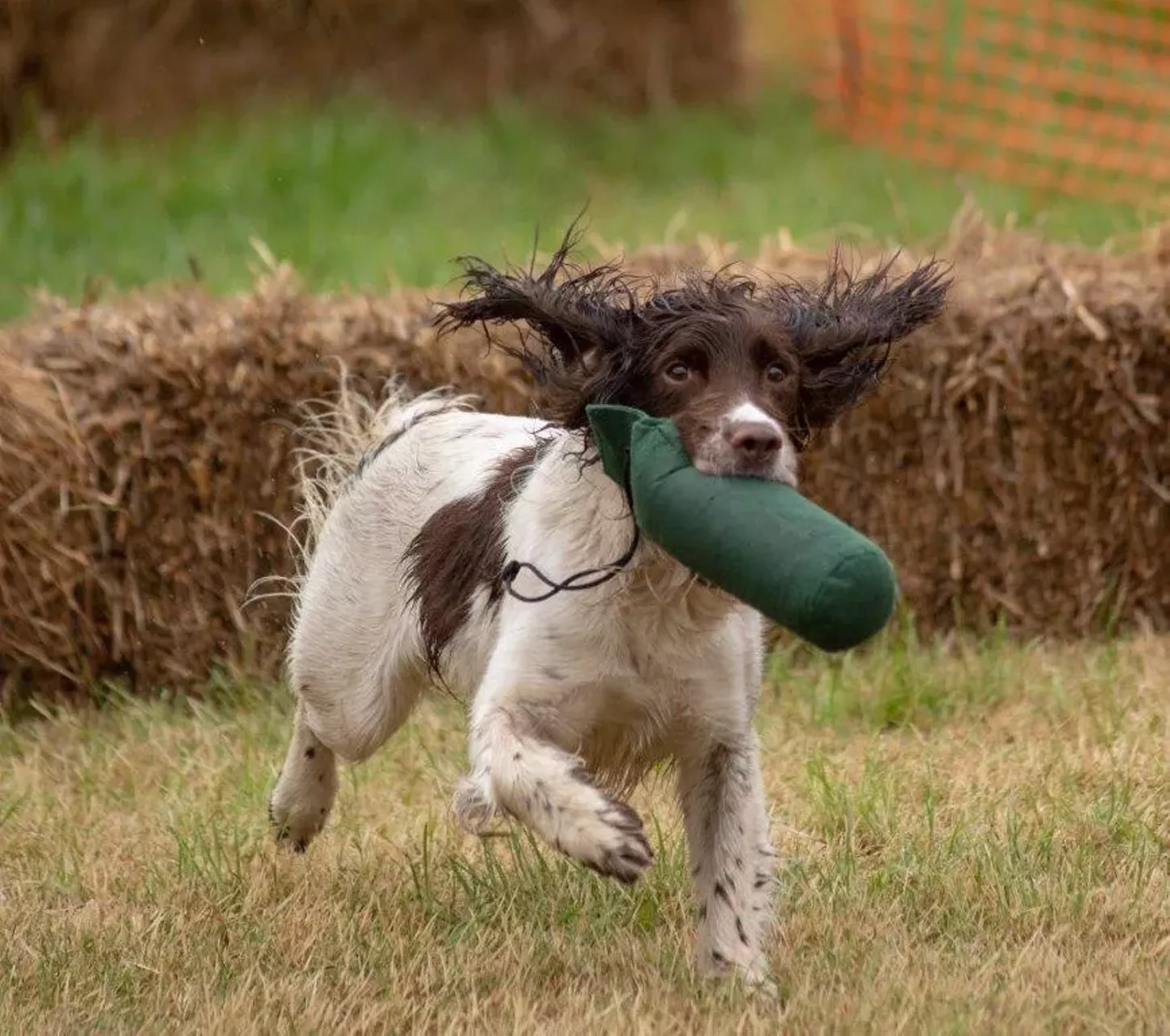 Orvis Game Fair - Vimarsana News