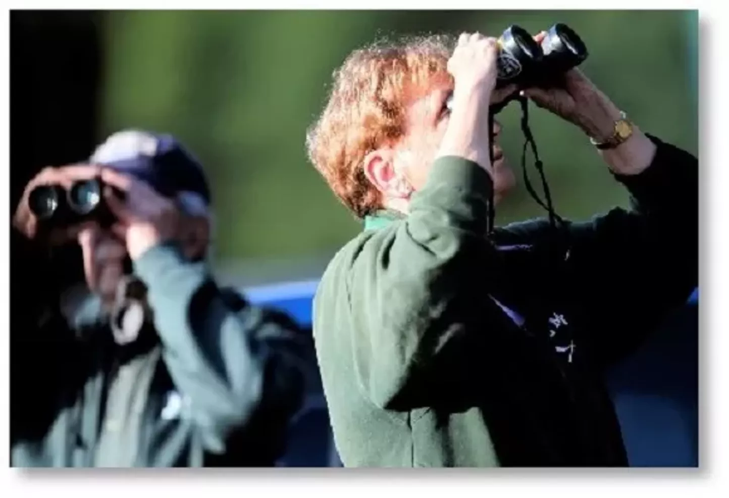 Labor Day Weekend Bird Walk with Alan Devoe Bird Club - Vimarsana News