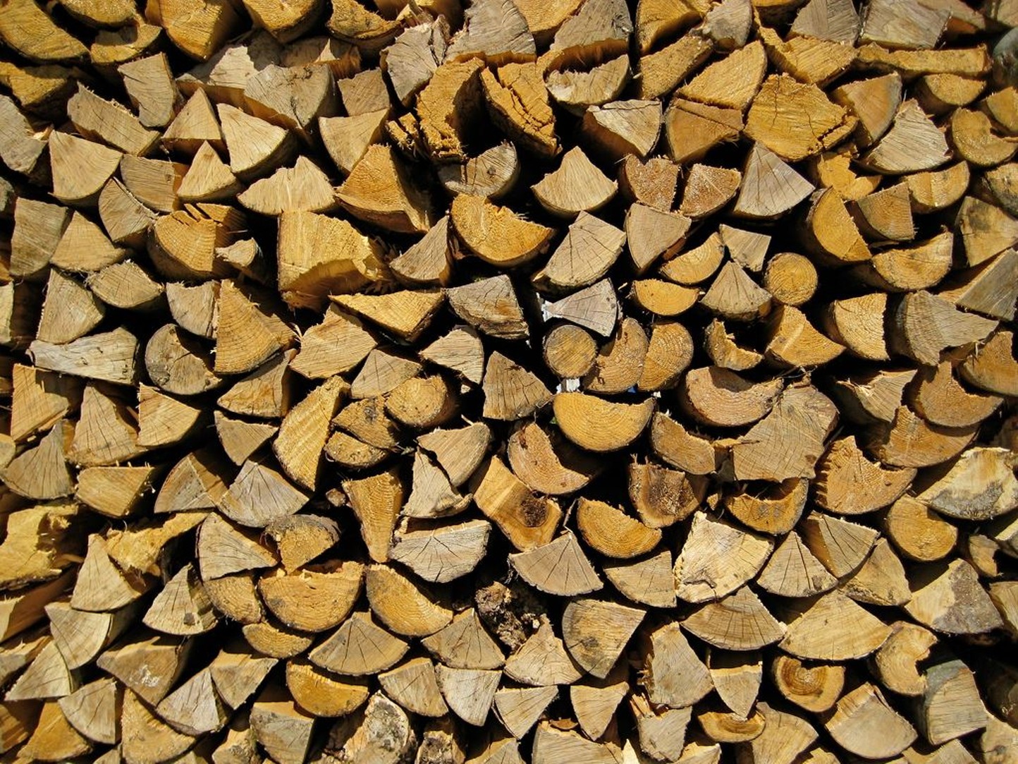 Prepping Firewood for Autumn