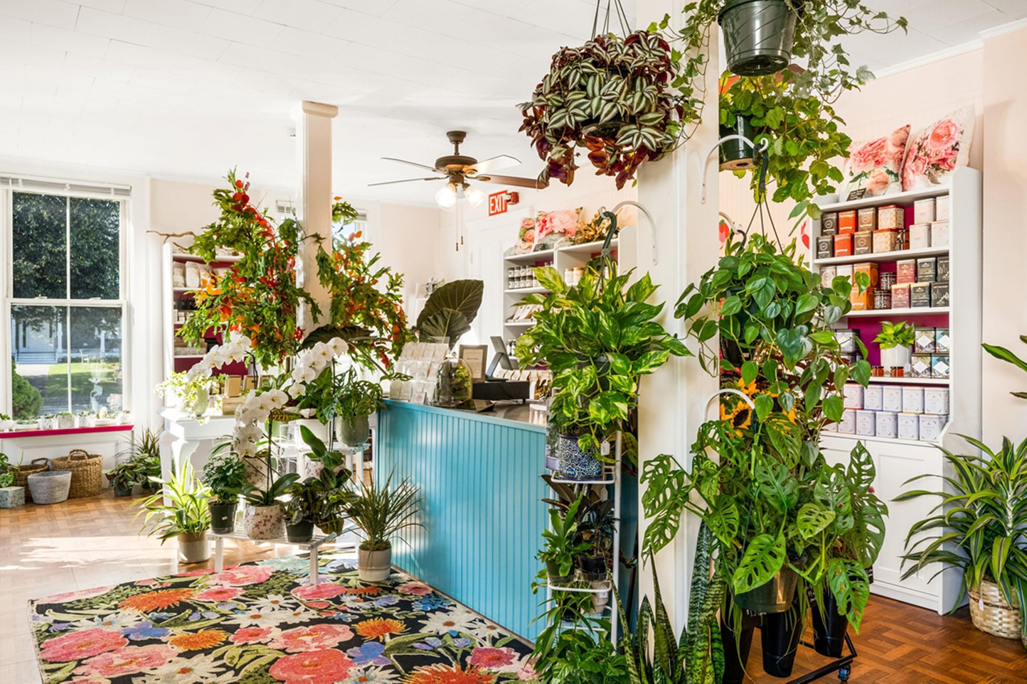 Peony Design Studio: Nice Valley's Blooming Flower Store