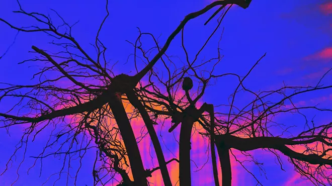 Image: UPROOTED: A Journey of Metaphors and Analogies