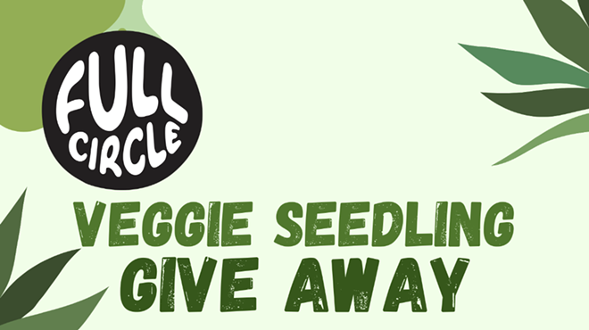 Image: Veggie Seedling Giveaway