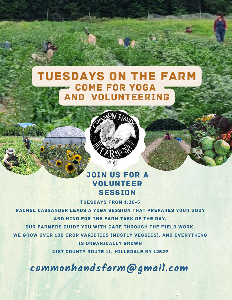volunteer_on_our_farm.png