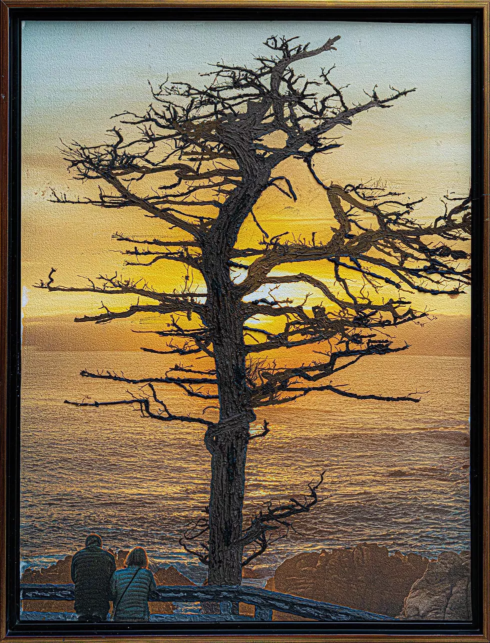 west_coast-dsc2359.webp