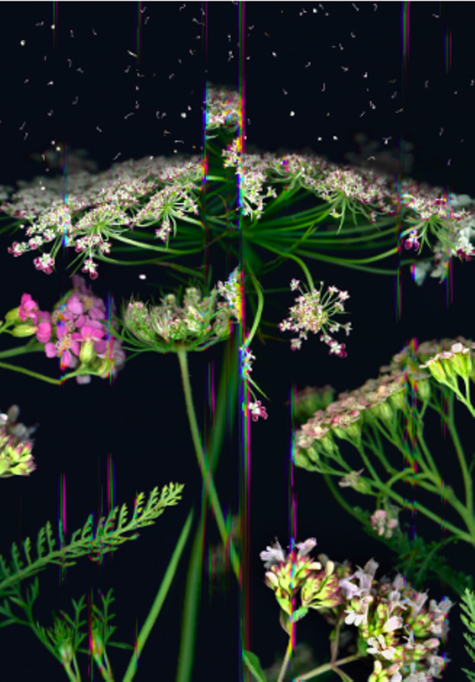 screenshot_2026-10-16_at_10.55.55___am.png