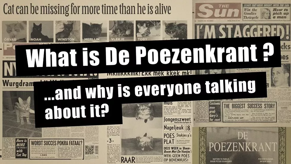 what-is-de-poezenkrant----and-why-is-everyone-talking-about-it-.webp