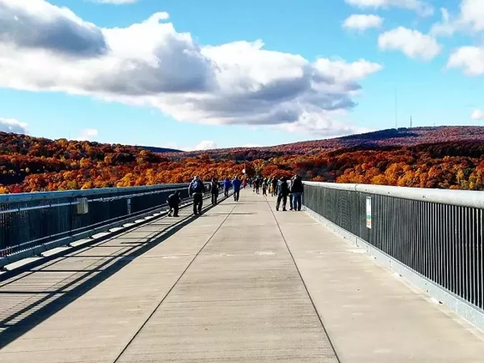 walkway_fall.webp