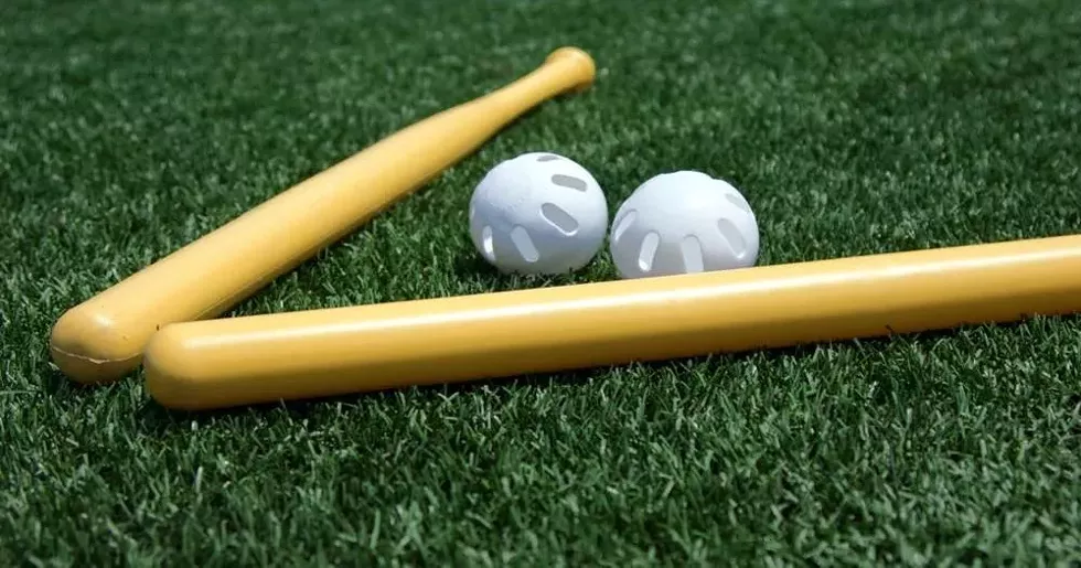 wiffle-ball.webp