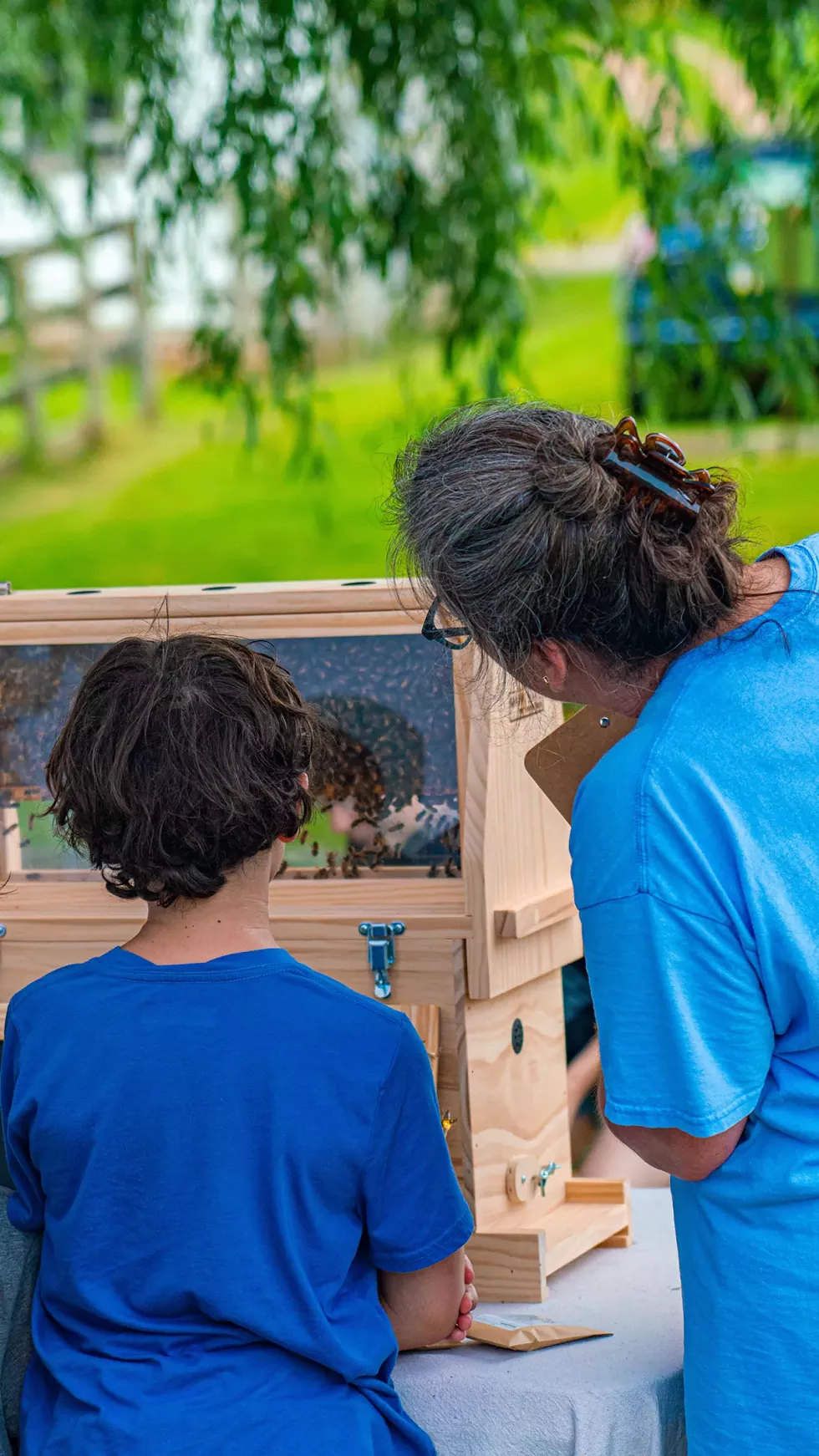 Visitors find the queen bee in the observation hive