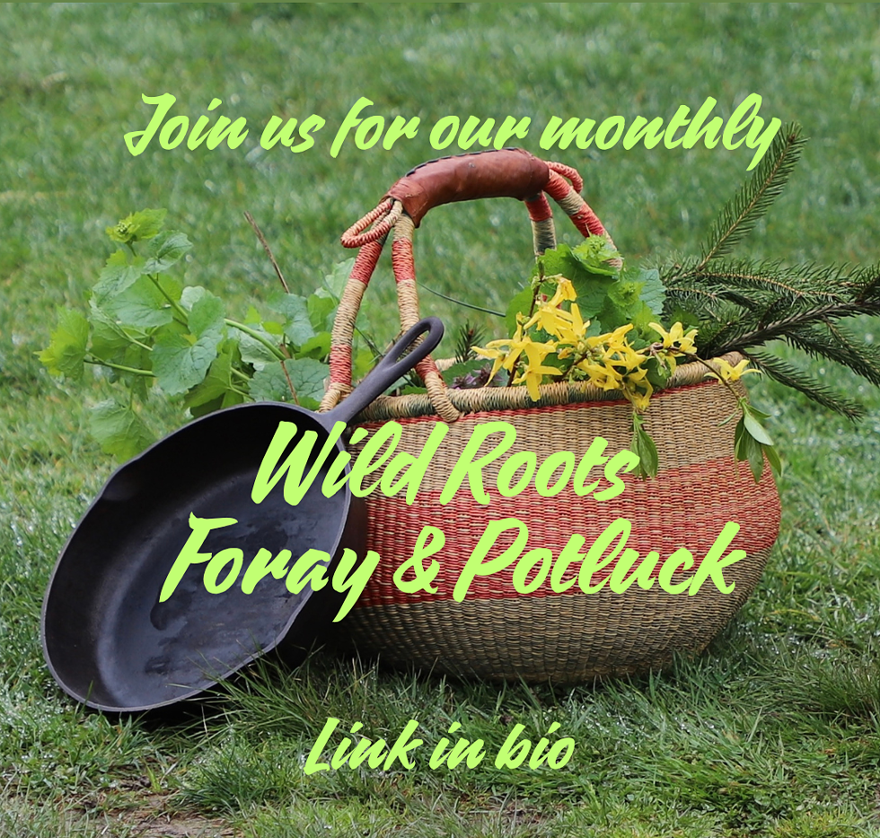 image of foraging basket and cast iron pan