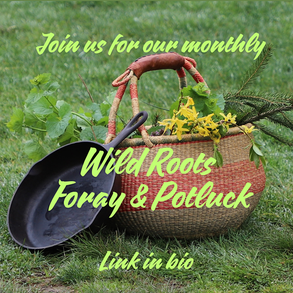 Wild Roots Foray & Potluck