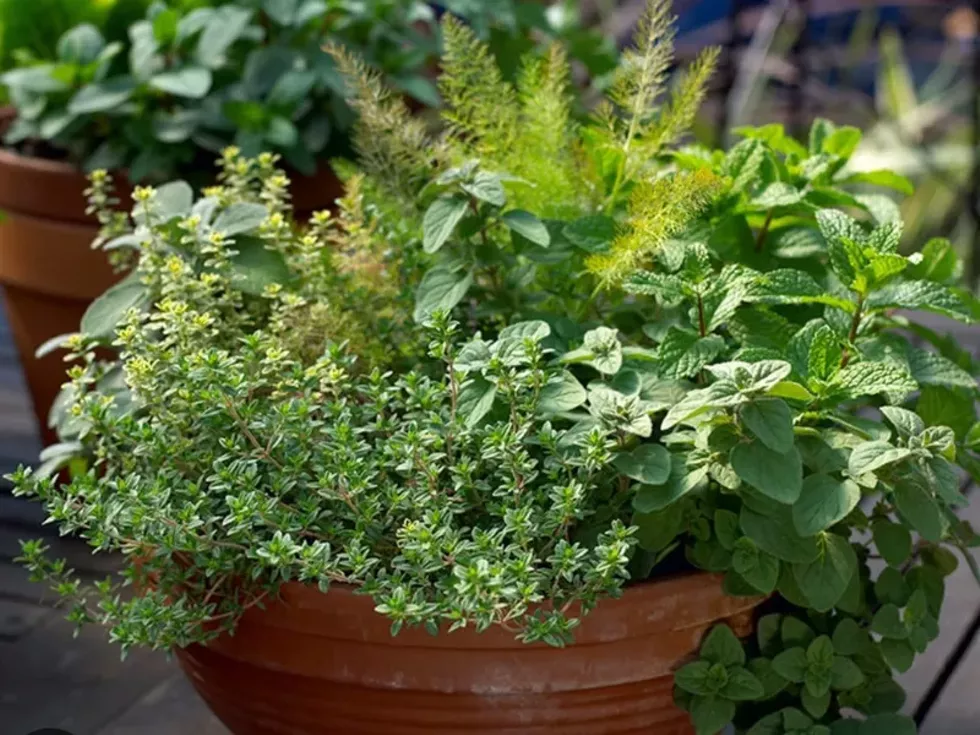 image_6.webp