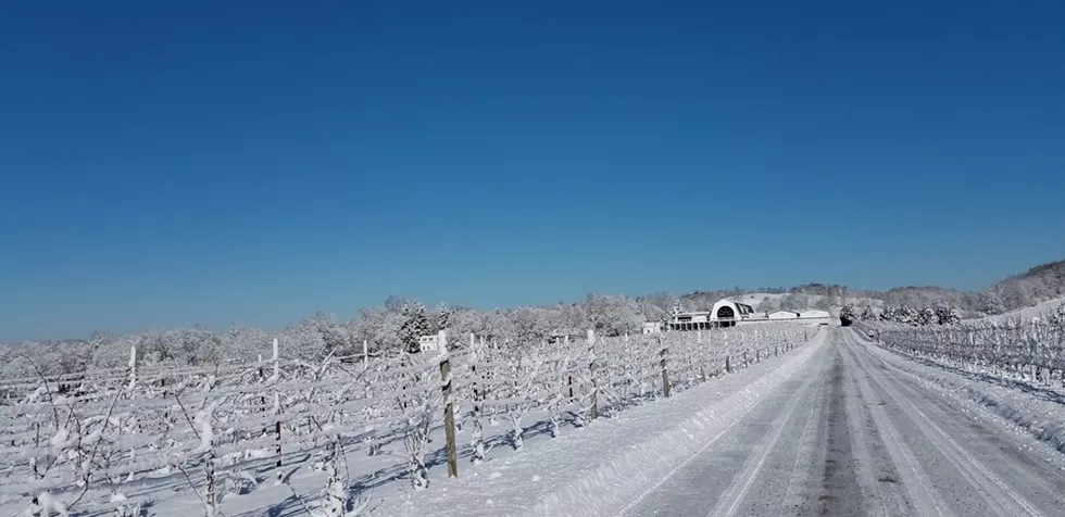 winter_2.webp