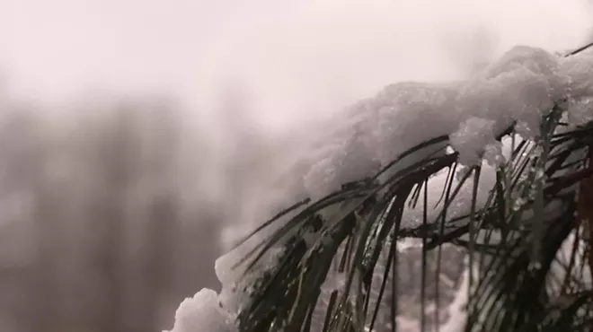 Image: Winter Wellness and Supporting Adrenal Health