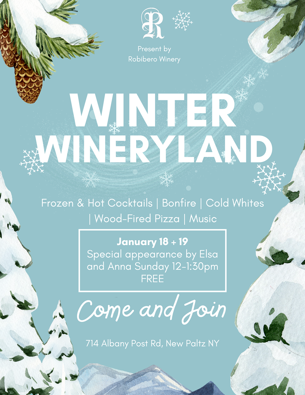 blue_white_minimalist_winter_festival_flyer.png