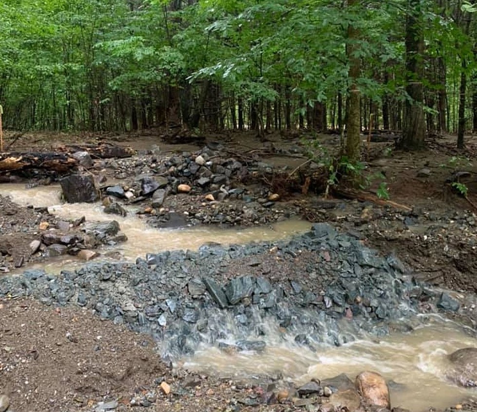 A photo from 2021 showing disturbed sediment in Little Thunder Brook, a tiny tributary of the Valatie Kill in Rensselaer County that has been contaminated by decades-old pollution coming from the Dewey Loeffel Landfill Superfund site.
